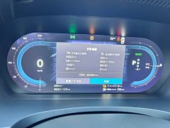 Volvo S90 Plug-in Hybrid Four-Wheel Drive Long Range Smart Luxury Edition - ფოტო 13