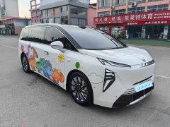 Buick Zhijing Shijia Luxury Edition - ფოტო 2