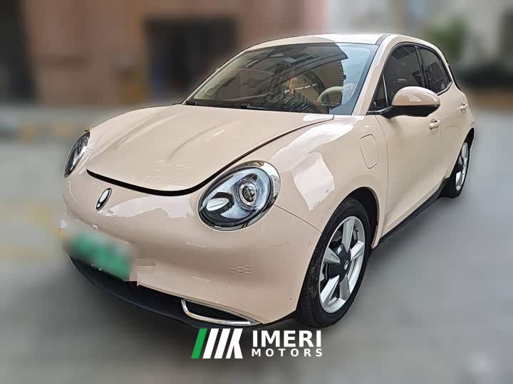 ORA Good Cat 401km Standard Range Luxury LFP - ავტომობილი ჩინეთიდან