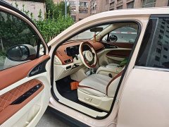 ORA Good Cat 401km Standard Range Luxury LFP - ფოტო 11