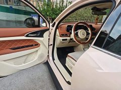ORA Good Cat 401km Standard Range Luxury LFP - ფოტო 12