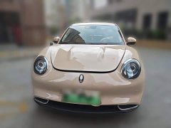 ORA Good Cat 401km Standard Range Luxury LFP - ფოტო 2