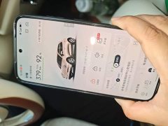 ORA Good Cat 401km Standard Range Luxury LFP - ფოტო 20