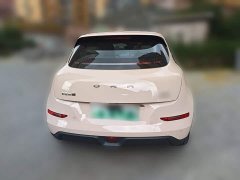 ORA Good Cat 401km Standard Range Luxury LFP - ფოტო 3