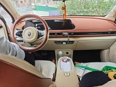 ORA Good Cat 401km Standard Range Luxury LFP - ფოტო 5