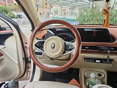 ORA Good Cat 401km Standard Range Luxury LFP - ფოტო 6