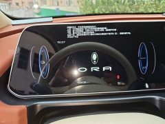 ORA Good Cat 401km Standard Range Luxury LFP - ფოტო 7