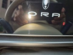 ORA Good Cat 401km Standard Range Luxury LFP - ფოტო 8