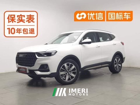 2023 Haval H6 National Trend Edition 1.5T Automatic Champion Version - ავტომობილი ჩინეთიდან