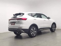 Haval H6 National Trend Edition 1.5T Automatic Champion Version - ფოტო 2