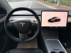 Tesla Model 3 2022 Rear-Wheel Drive - ფოტო 14