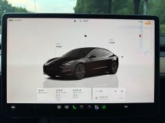 Tesla Model 3 2022 Rear-Wheel Drive - ფოტო 16