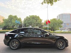 Tesla Model 3 2022 Rear-Wheel Drive - ფოტო 6