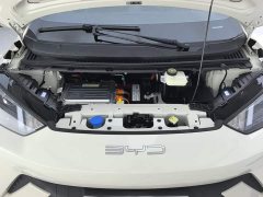 BYD Seagull 2023 Vitality Edition - ფოტო 10