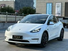 Tesla Model Y Performance All-Wheel Drive - ფოტო 1