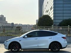 Tesla Model Y Performance All-Wheel Drive - ფოტო 3