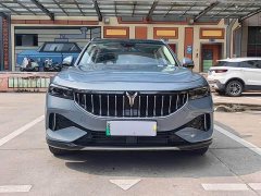 Voyah Lantu FREE Four-Wheel Drive Standard Extended Range Exclusive Luxury Package - ფოტო 2