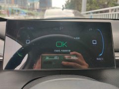 BYD Destroyer 05 2024 Glory Edition DM-i 55KM Luxury - ფოტო 14