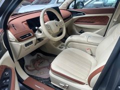 ORA Good Cat 430km Luxury - ფოტო 4