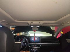 Volkswagen Sagitar 300TSI DSG Excellence Edition - ფოტო 14