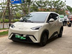 BYD Seagull Glory Edition 305km Vitality Version - ფოტო 1