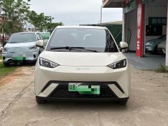 BYD Seagull Glory Edition 305km Vitality Version - ფოტო 2