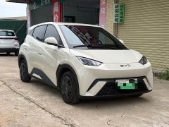 BYD Seagull Glory Edition 305km Vitality Version - ფოტო 3