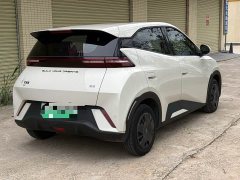 BYD Seagull Glory Edition 305km Vitality Version - ფოტო 7