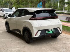 BYD Seagull Glory Edition 305km Vitality Version - ფოტო 9
