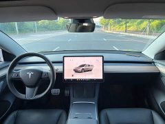 Tesla Model 3 Performance All-Wheel Drive - ფოტო 10