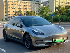 Tesla Model 3 Performance All-Wheel Drive - ფოტო 3