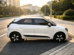 Dongfeng Nammi 01 330 Youth Edition - ფოტო 10