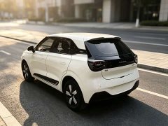 Dongfeng Nammi 01 330 Youth Edition - ფოტო 11