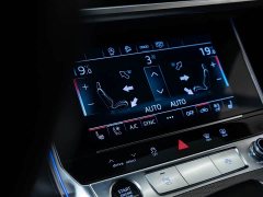 Audi A6 (Imported) allroad quattro 55 TFSI Prestige Off-Road - ფოტო 9