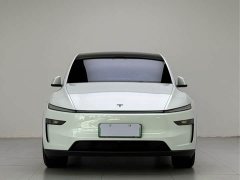 Tesla Model Y Rear-Wheel Drive - ფოტო 2