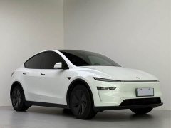 Tesla Model Y Rear-Wheel Drive - ფოტო 3