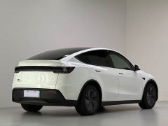 Tesla Model Y Rear-Wheel Drive - ფოტო 4