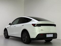 Tesla Model Y Rear-Wheel Drive - ფოტო 5