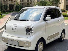 FAW Besturn Xiaoma 222km Dynamic Edition - ფოტო 1