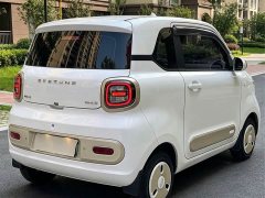 FAW Besturn Xiaoma 222km Dynamic Edition - ფოტო 7