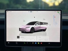 Tesla Model 3 Rear-Wheel Drive - ფოტო 13