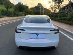 Tesla Model 3 Rear-Wheel Drive - ფოტო 6