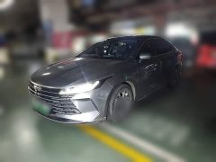 BYD Destroyer 05 Champion Edition DM-i 55KM Luxury - ფოტო 1