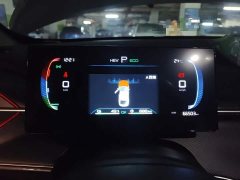BYD Destroyer 05 Champion Edition DM-i 55KM Luxury - ფოტო 12