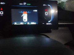 BYD Destroyer 05 Champion Edition DM-i 55KM Luxury - ფოტო 13