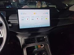 BYD Destroyer 05 Champion Edition DM-i 55KM Luxury - ფოტო 14