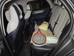BYD Destroyer 05 Champion Edition DM-i 55KM Luxury - ფოტო 18