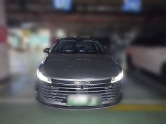 BYD Destroyer 05 Champion Edition DM-i 55KM Luxury - ფოტო 2