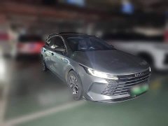 BYD Destroyer 05 Champion Edition DM-i 55KM Luxury - ფოტო 3