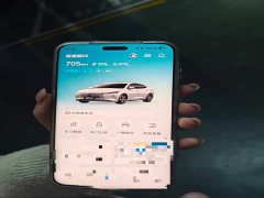 BYD Destroyer 05 Champion Edition DM-i 55KM Luxury - ფოტო 9